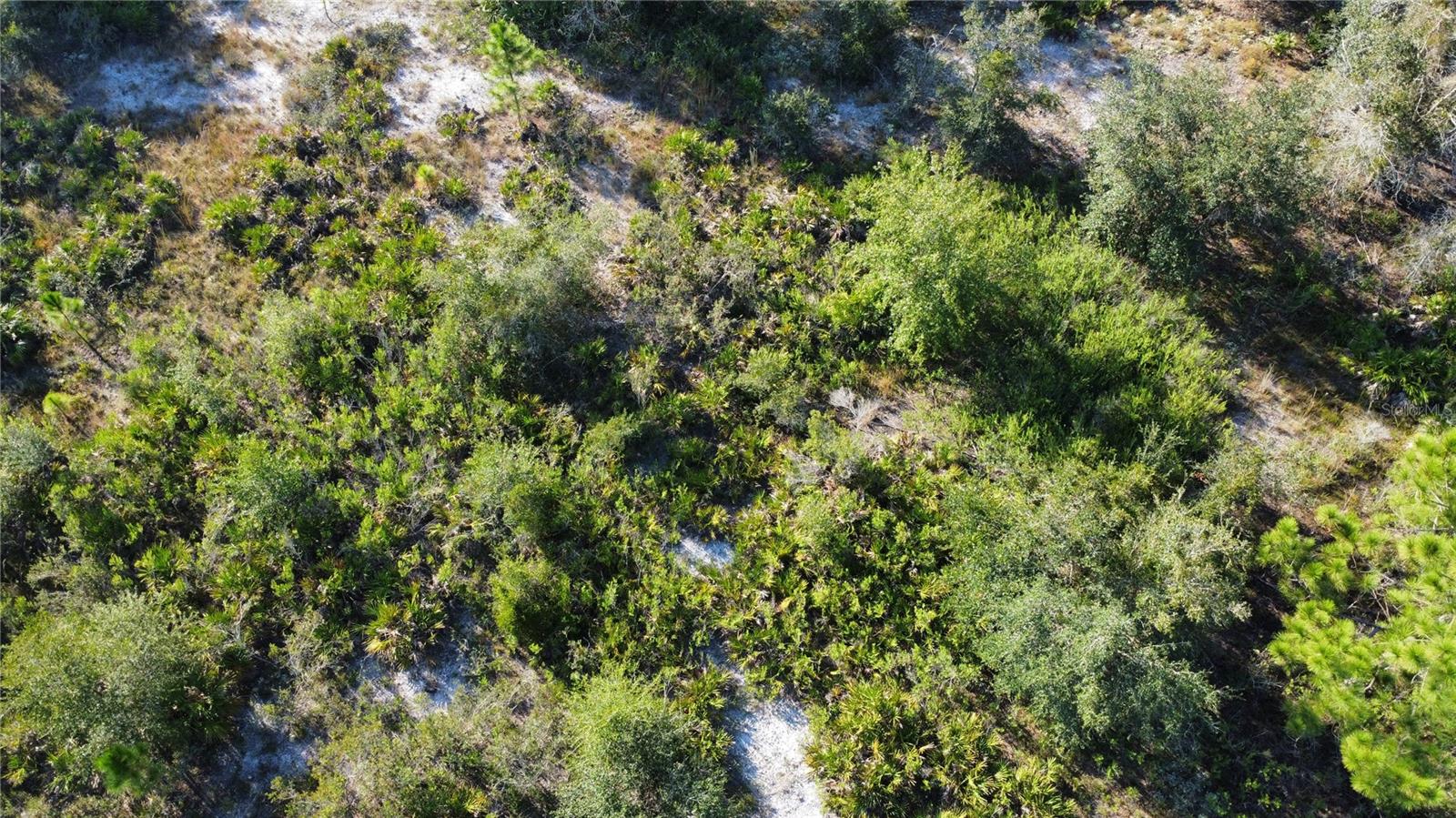 519 ALLAMANDA Dr INDIAN LAKE ESTATES, FL 33855