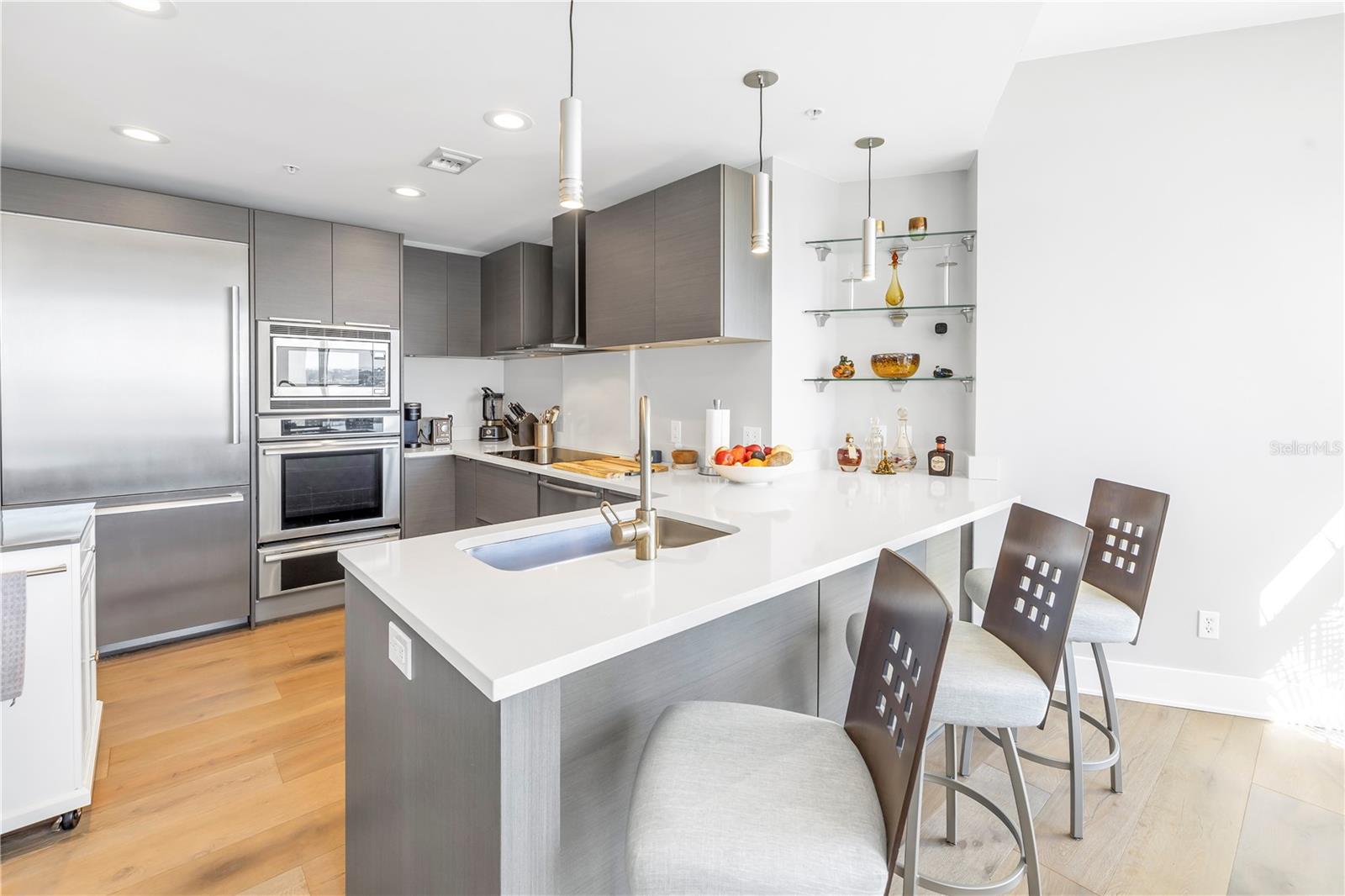 175 1ST St #1006 ST PETERSBURG, FL 33701