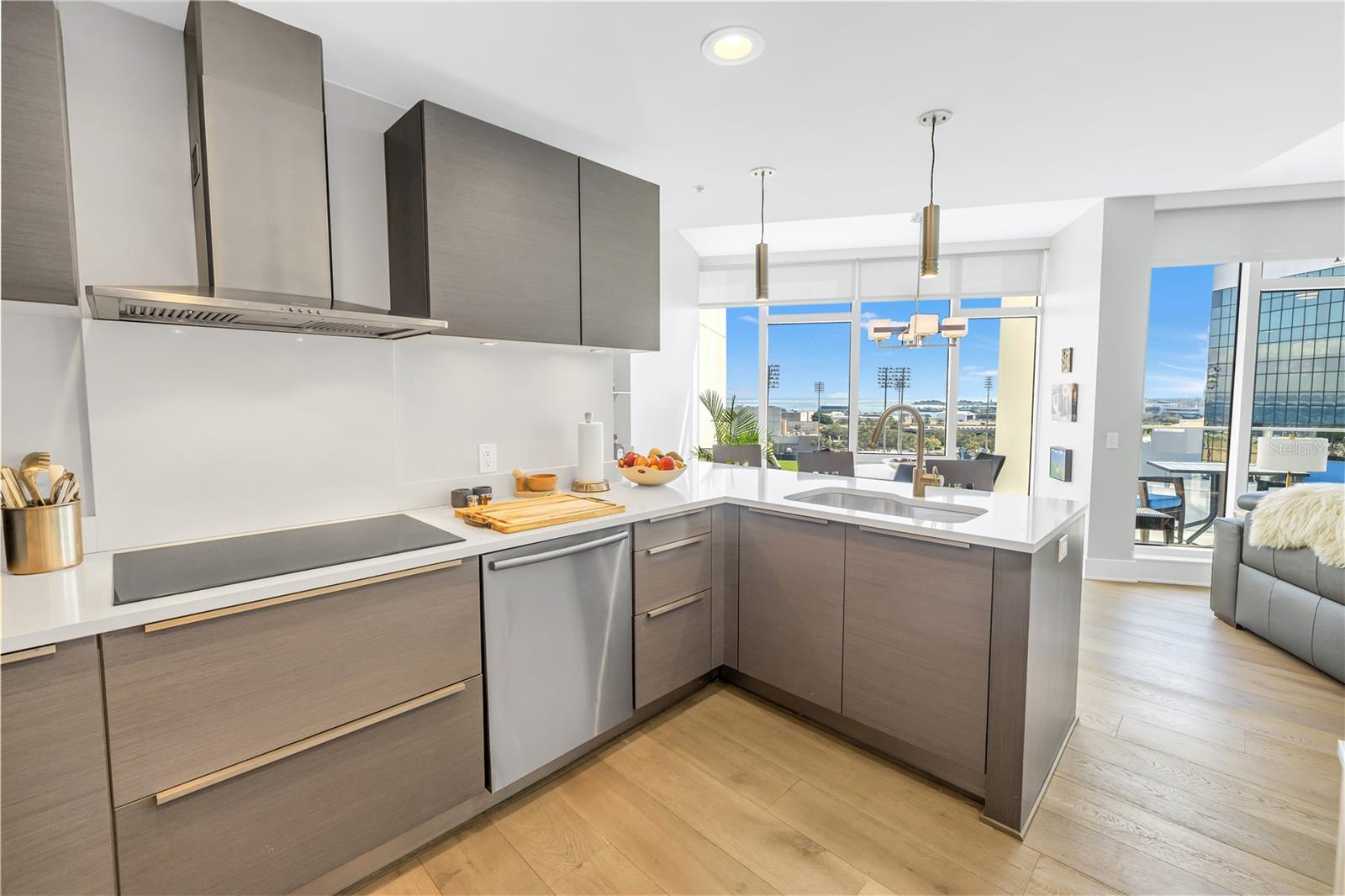 175 1ST St #1006 ST PETERSBURG, FL 33701