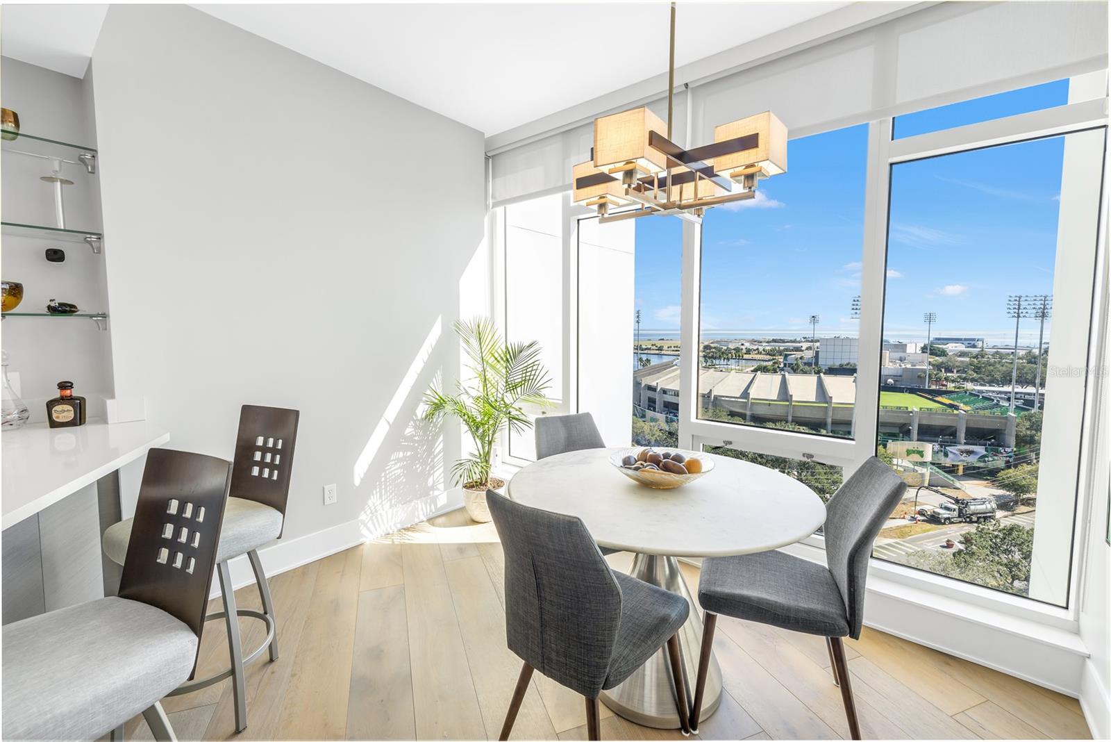 175 1ST St #1006 ST PETERSBURG, FL 33701