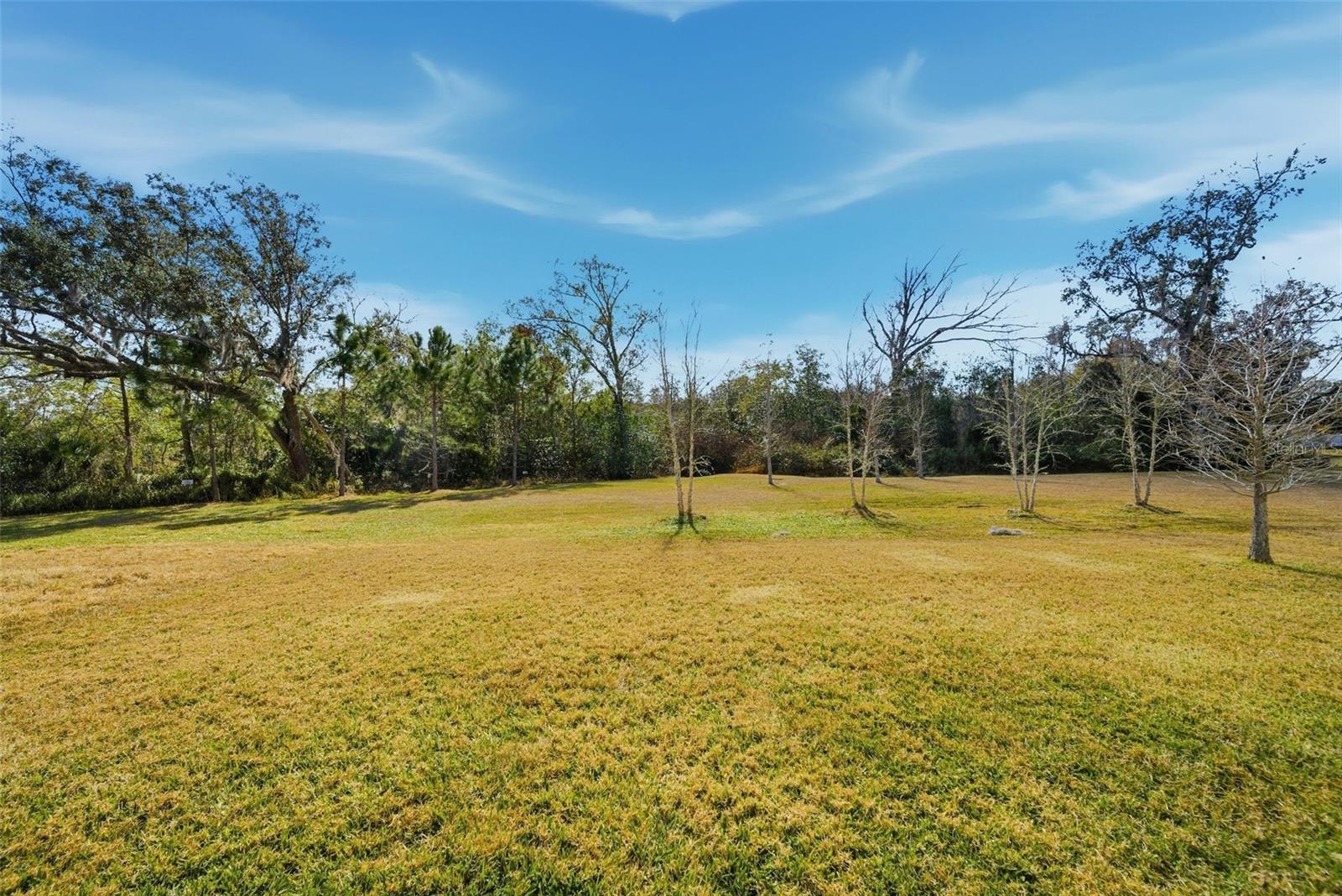 9211 WAVERLY Walk Dr ORLANDO, FL 32817