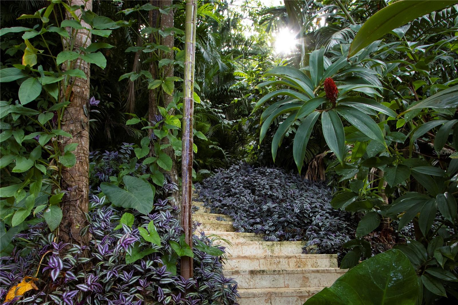 175-176 CALLE RUISEÑOR SAN JUAN, PR 00926