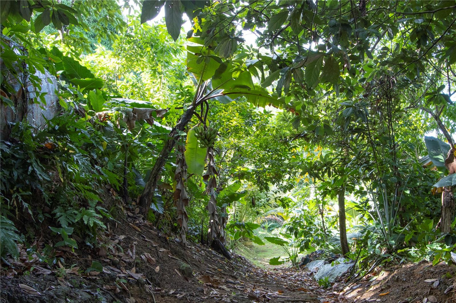 175-176 CALLE RUISEÑOR SAN JUAN, PR 00926