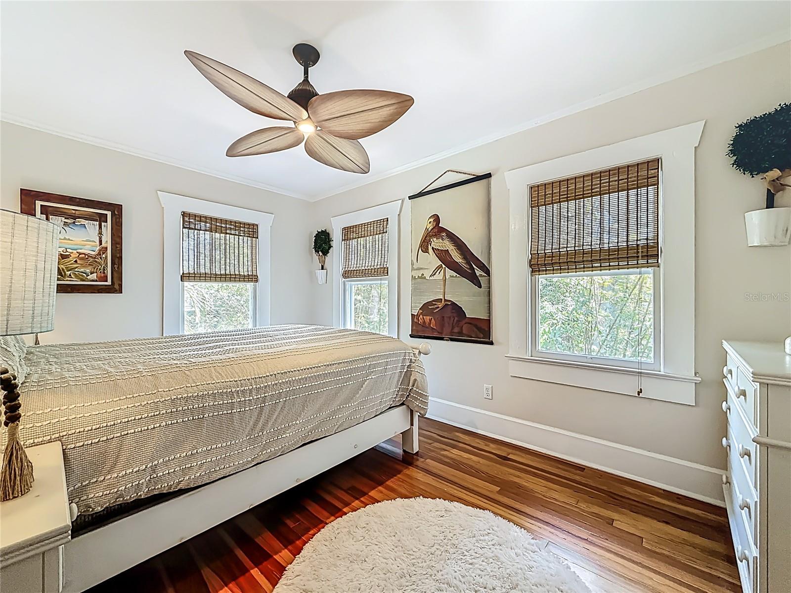 315 8TH Ave ST PETERSBURG, FL 33701