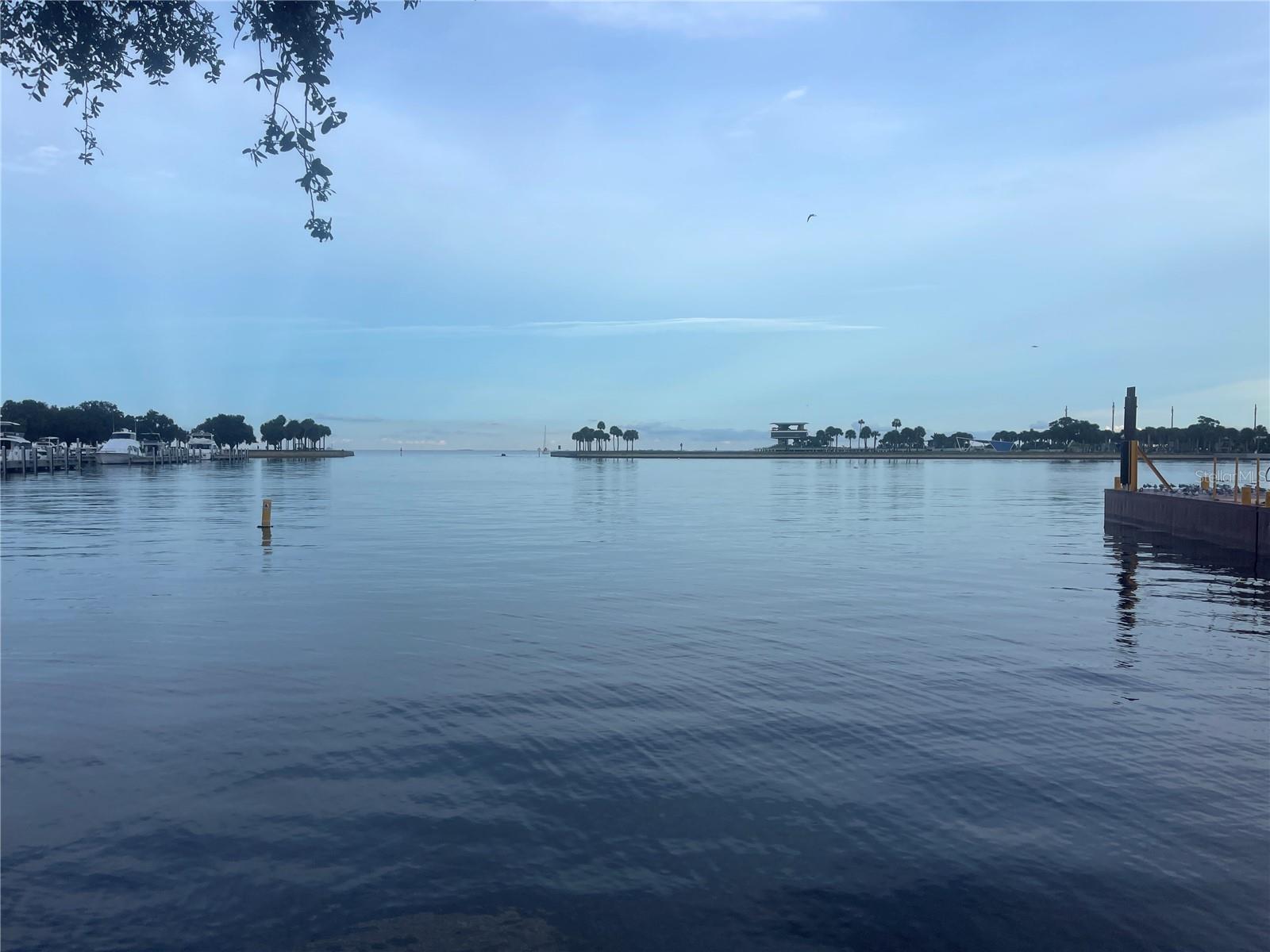 1208 5TH St ST PETERSBURG, FL 33701