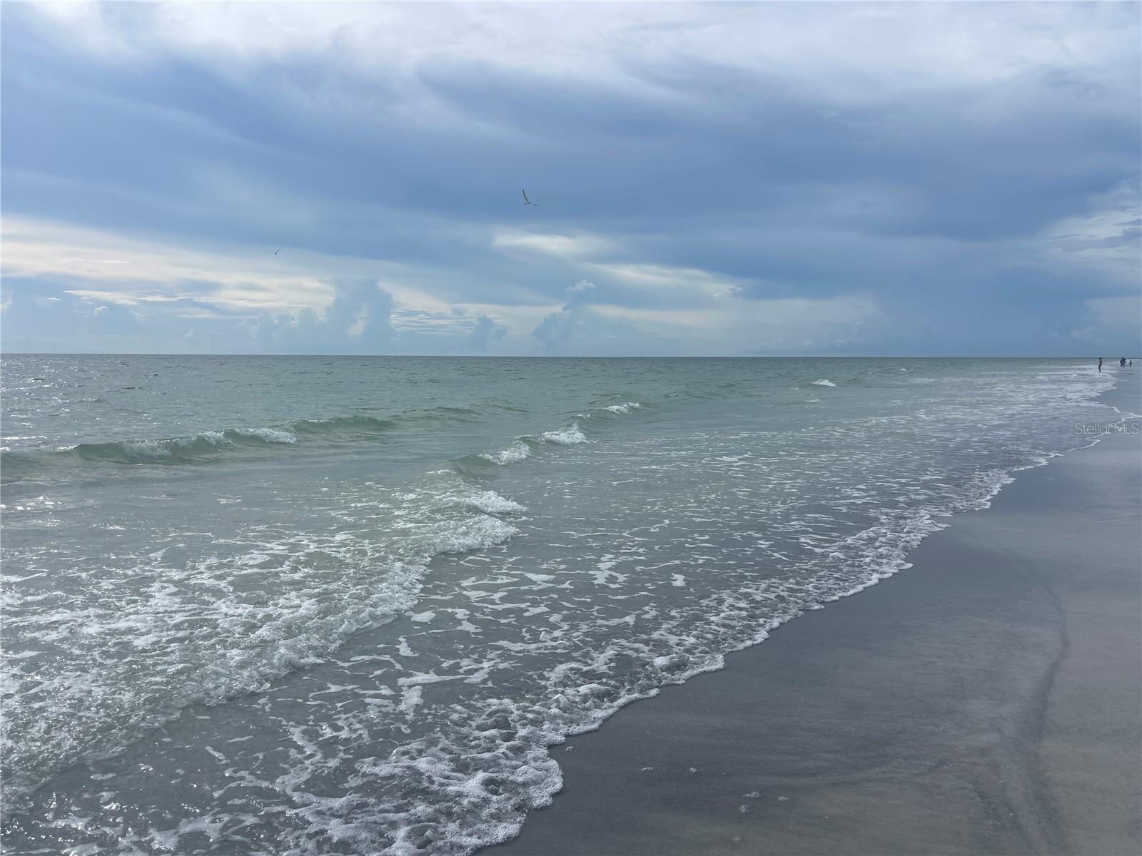 1208 5TH St ST PETERSBURG, FL 33701