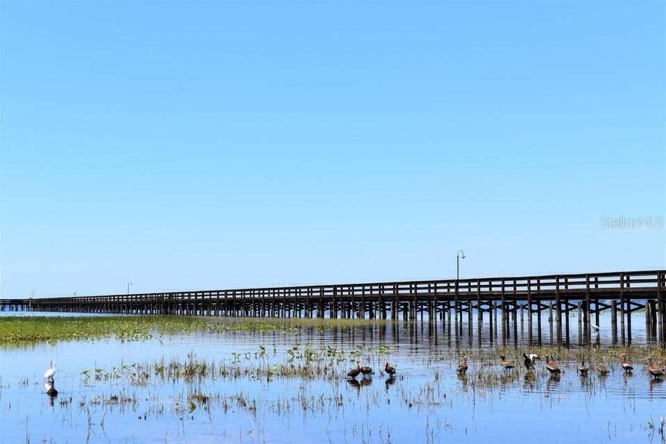 TBD AZALEA Dr INDIAN LAKE ESTATES, FL 33855