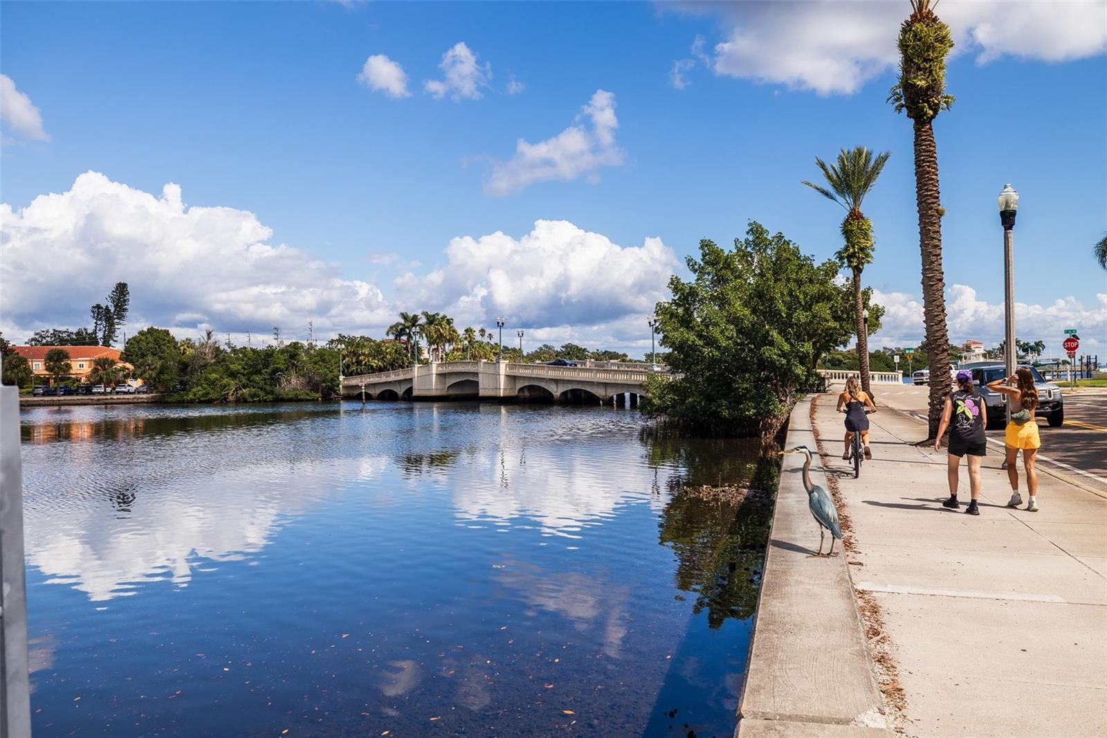 2400 COFFEE POT Blvd ST PETERSBURG, FL 33704