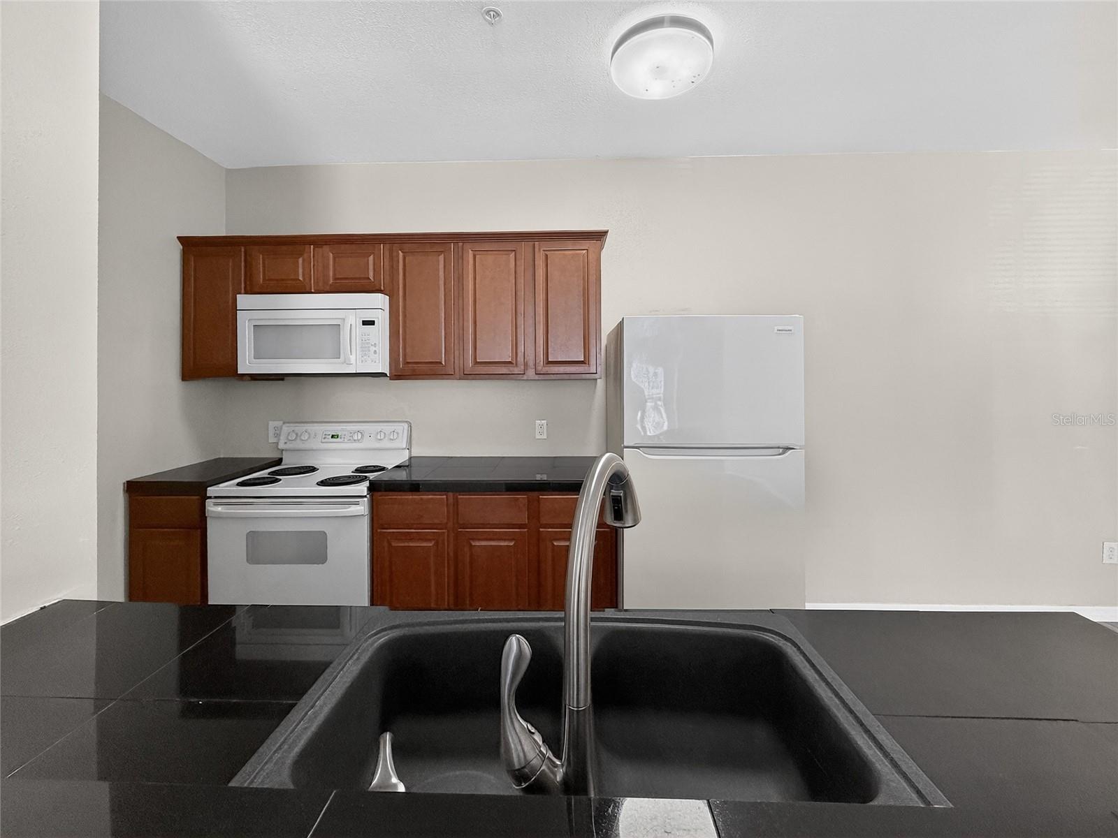 16305 ENCLAVE Vlg Dr #102 TAMPA, FL 33647