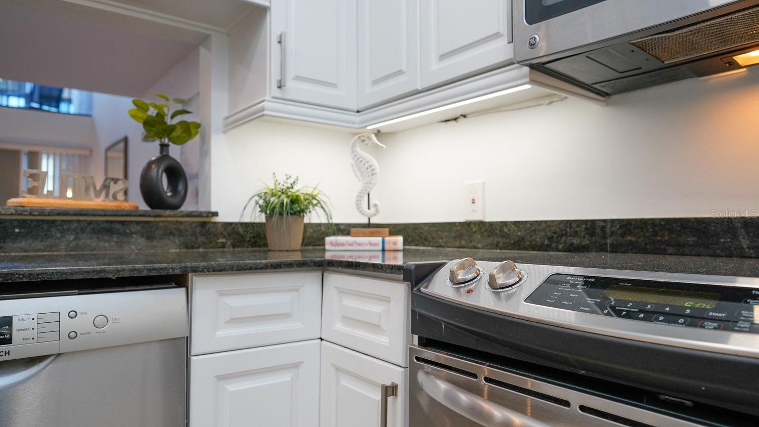 301 2ND St #14 ST PETERSBURG, FL 33701