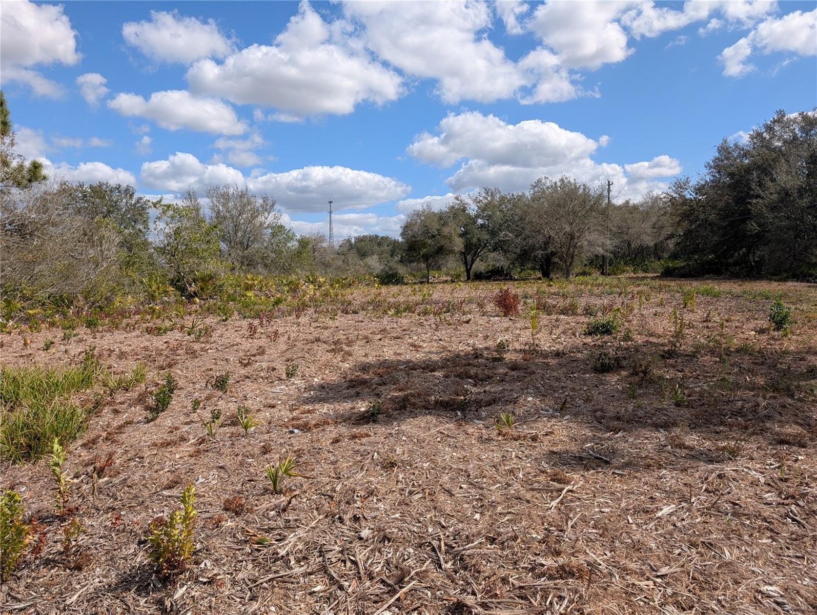 154 DESOTO Ave INDIAN LAKE ESTATES, FL 33855