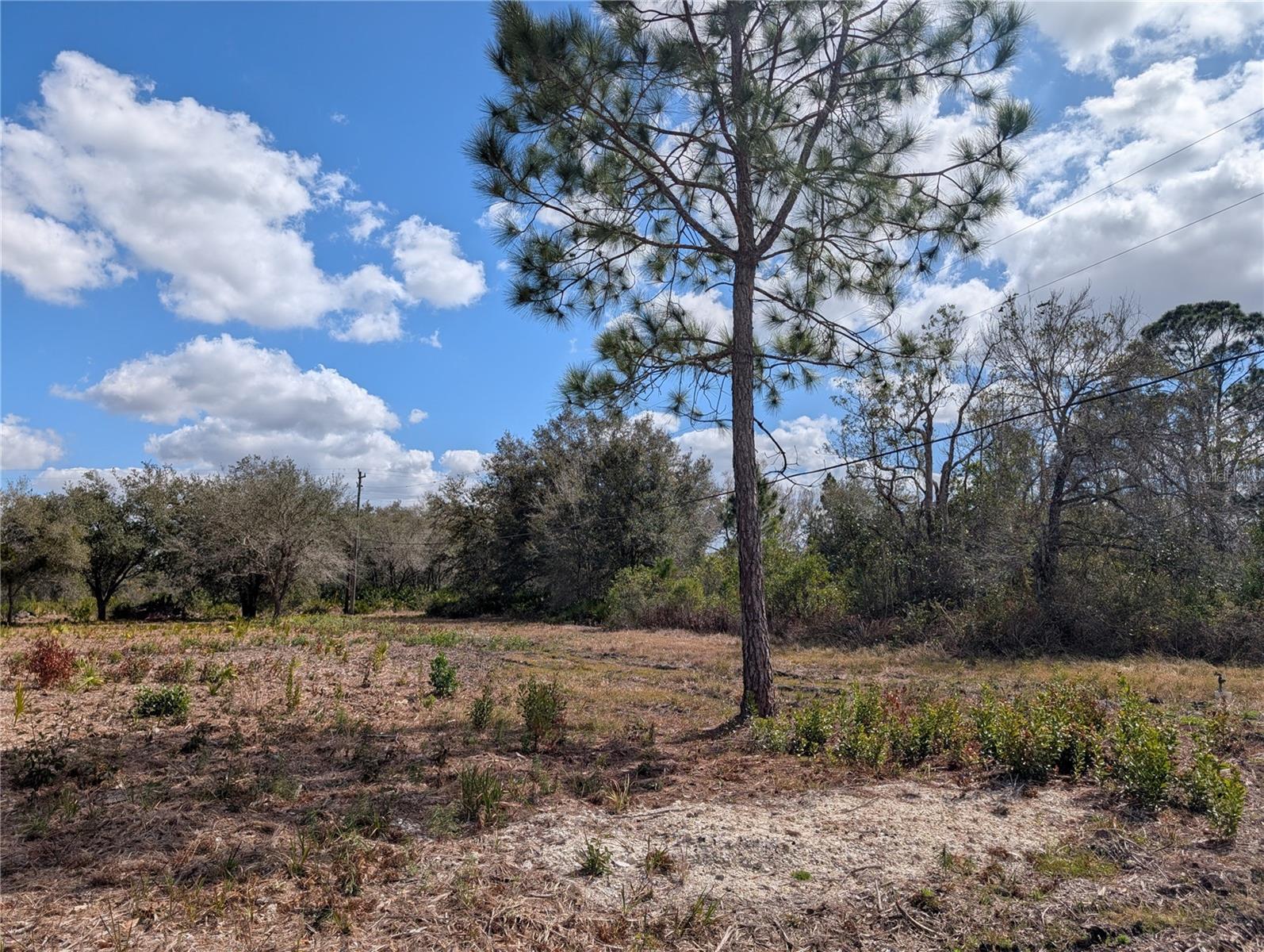 154 DESOTO Ave INDIAN LAKE ESTATES, FL 33855