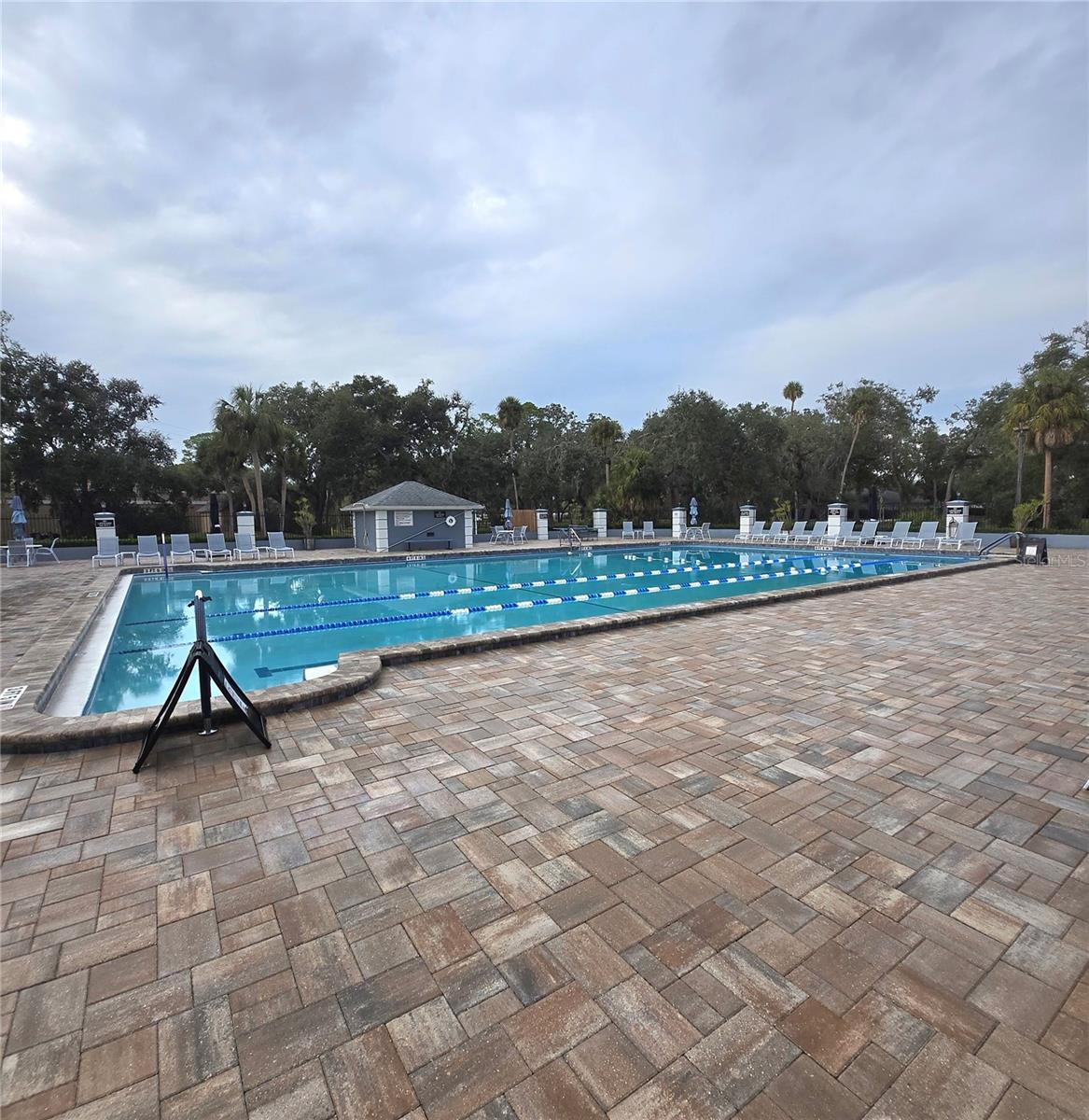 9707 CYPRESS SHADOW Ave TAMPA, FL 33647