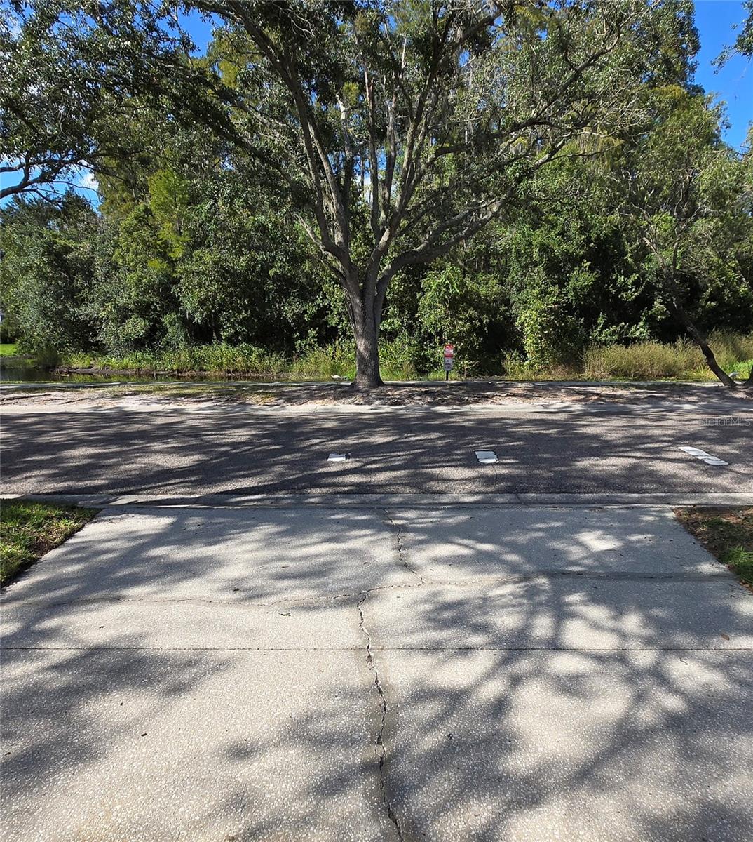 9707 CYPRESS SHADOW Ave TAMPA, FL 33647