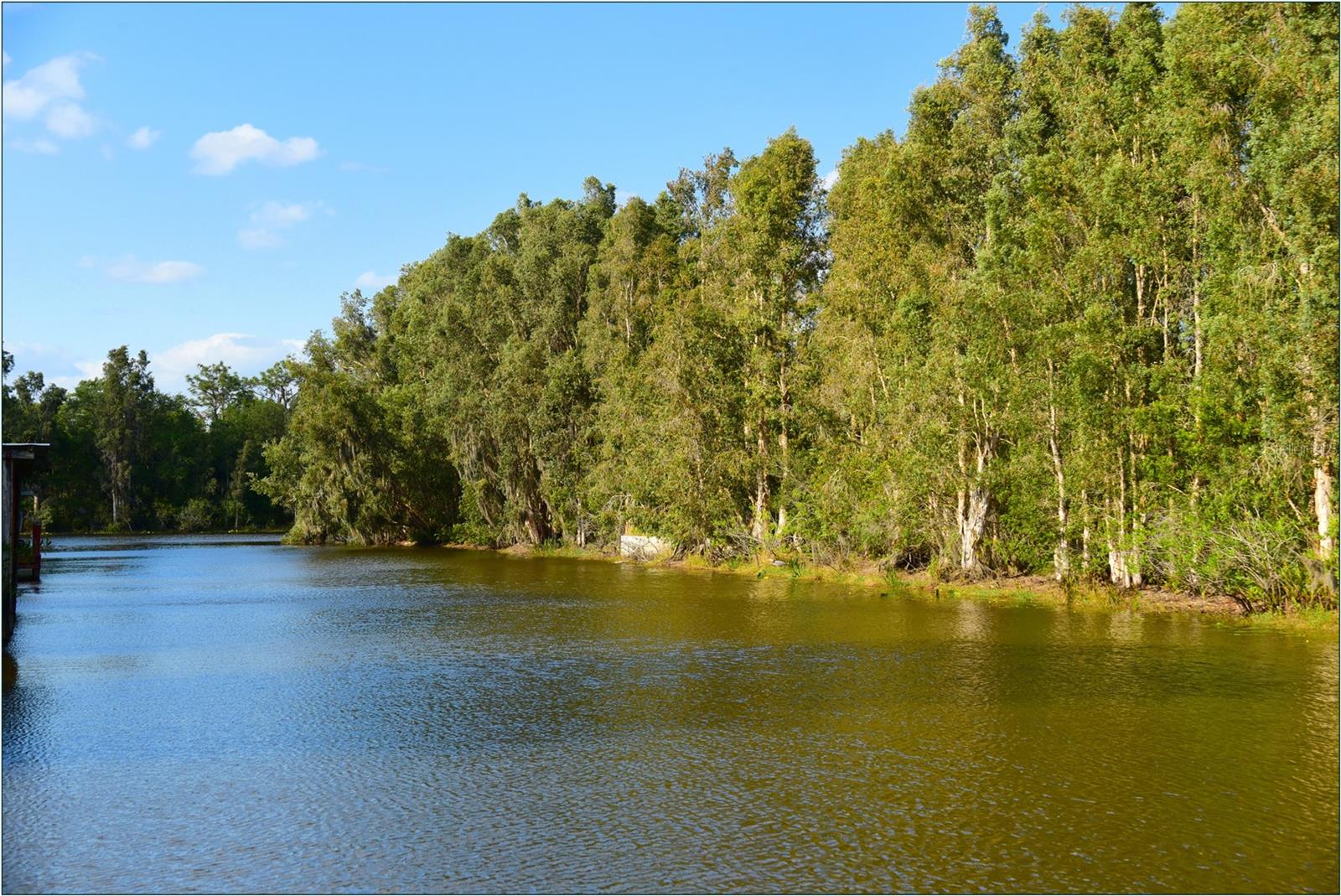 27 LANTANA Dr INDIAN LAKE ESTATES, FL 33855