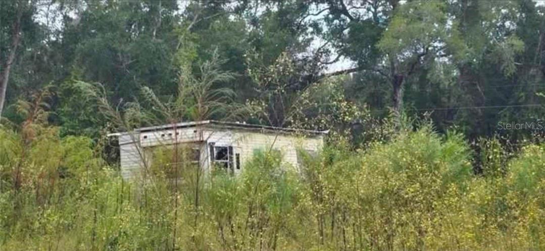 14481 NE 190TH Pl FORT MC COY, FL 32134