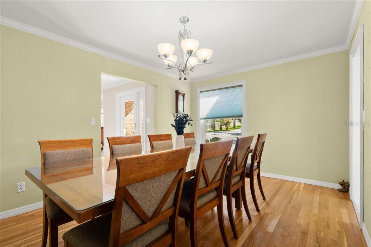 1517 N HALIFAX Ave DAYTONA BEACH, FL 32118