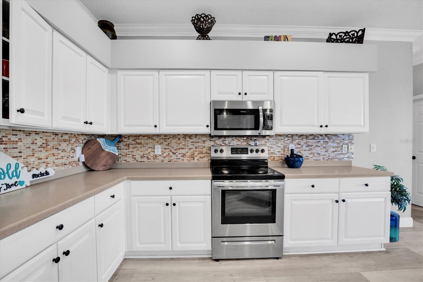 12511 ROYAL DUBLIN Ave ODESSA, FL 33556