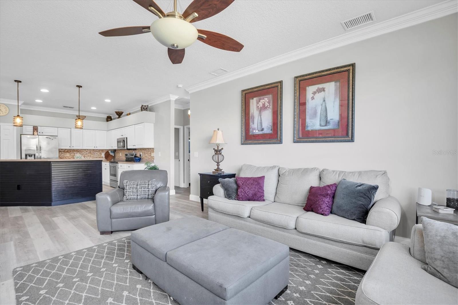 12511 ROYAL DUBLIN Ave ODESSA, FL 33556