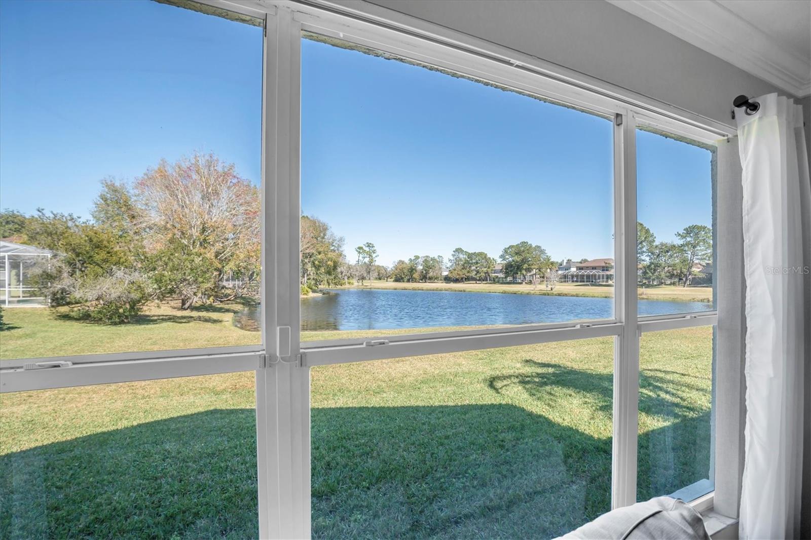 12511 ROYAL DUBLIN Ave ODESSA, FL 33556