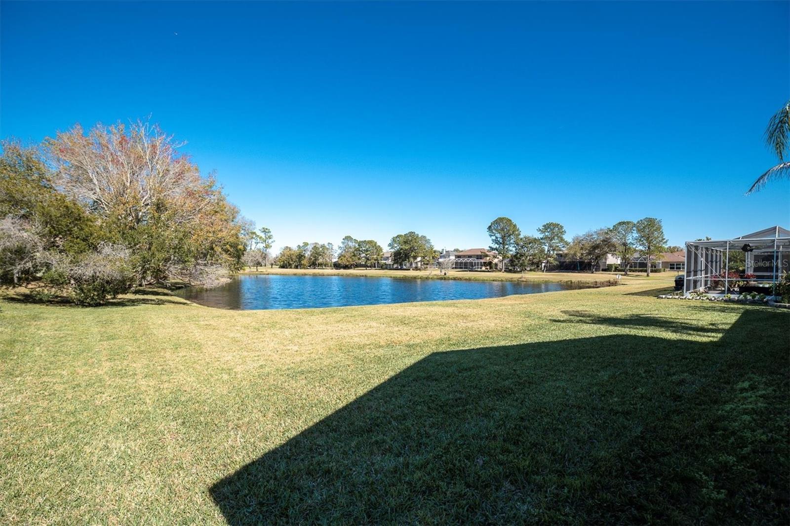 12511 ROYAL DUBLIN Ave ODESSA, FL 33556