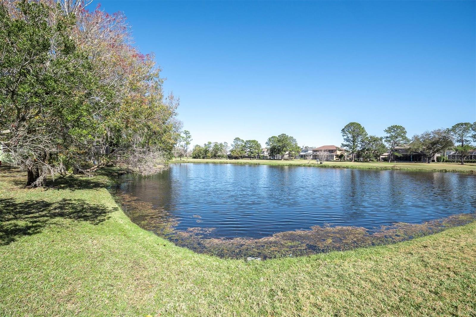 12511 ROYAL DUBLIN Ave ODESSA, FL 33556