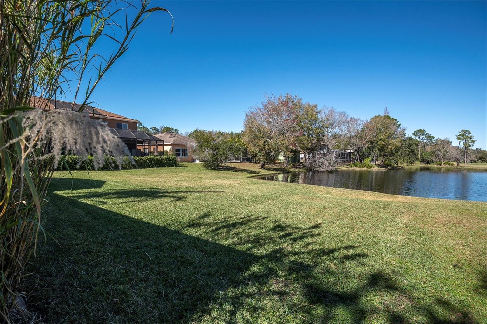 12511 ROYAL DUBLIN Ave ODESSA, FL 33556