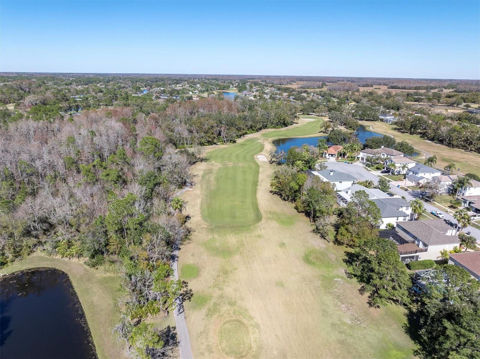 12511 ROYAL DUBLIN Ave ODESSA, FL 33556