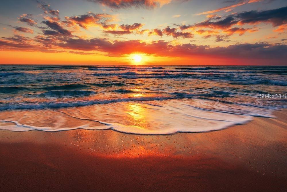 162 EMERSON Dr SARASOTA, FL 34236