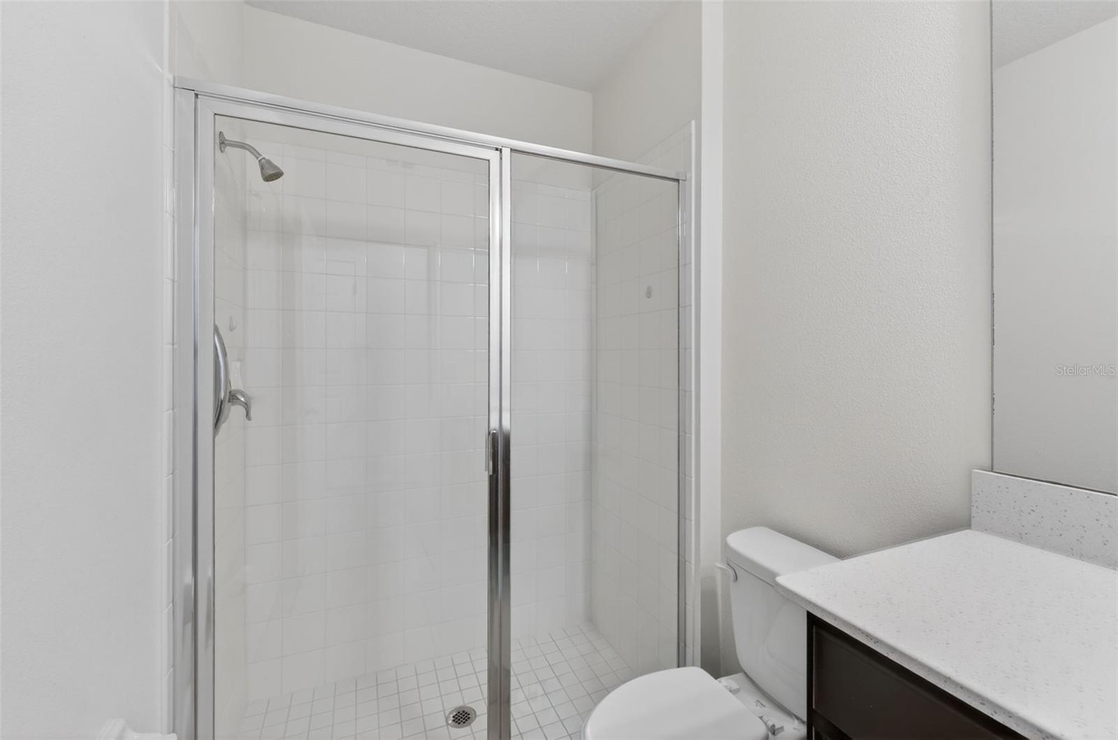 2817 ALPINE MEADOW Ln KISSIMMEE, FL 34744