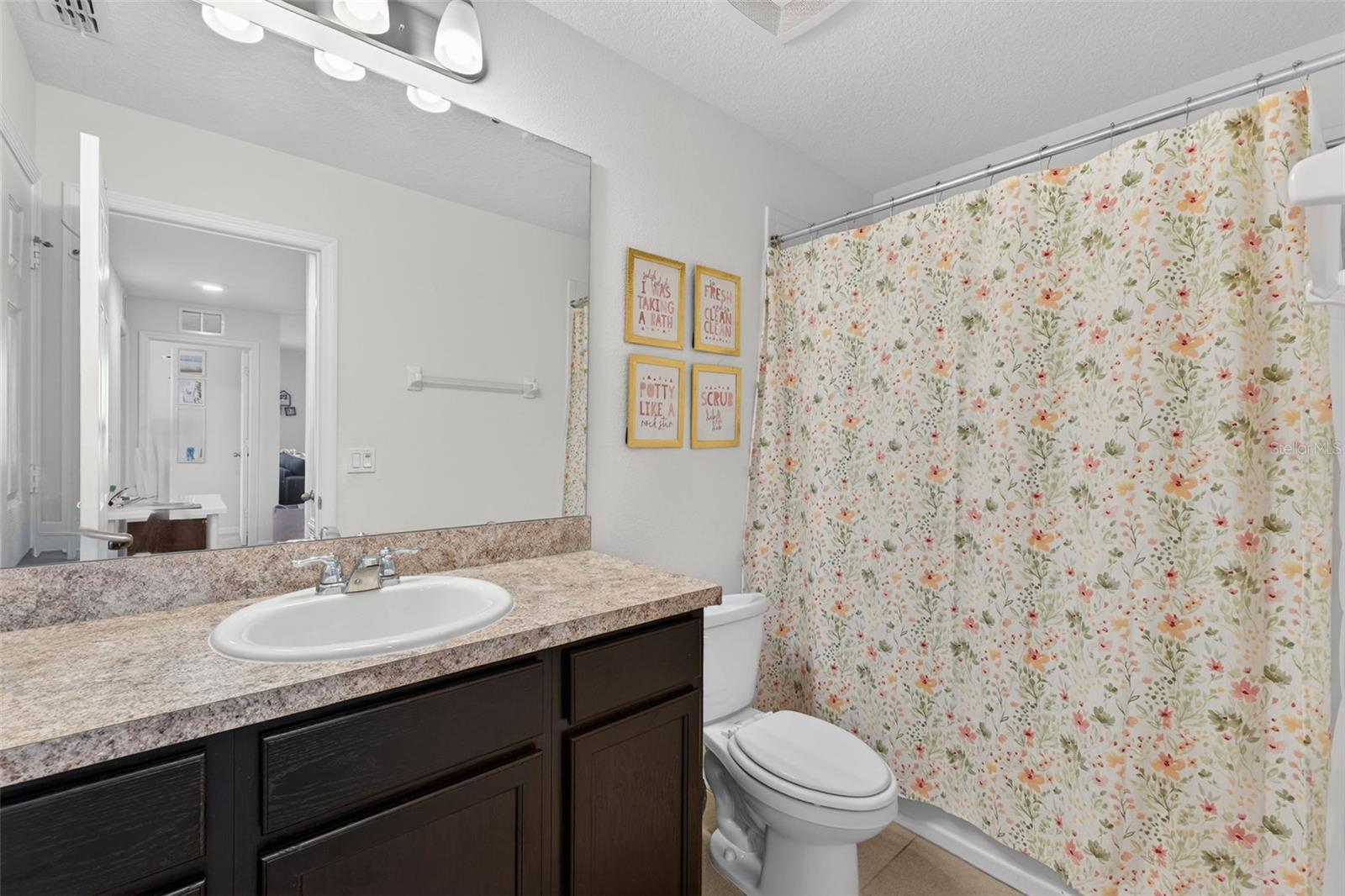 2817 ALPINE MEADOW Ln KISSIMMEE, FL 34744