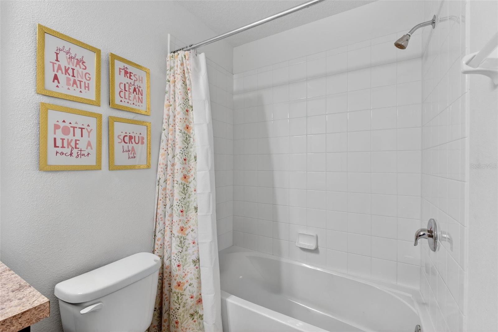 2817 ALPINE MEADOW Ln KISSIMMEE, FL 34744