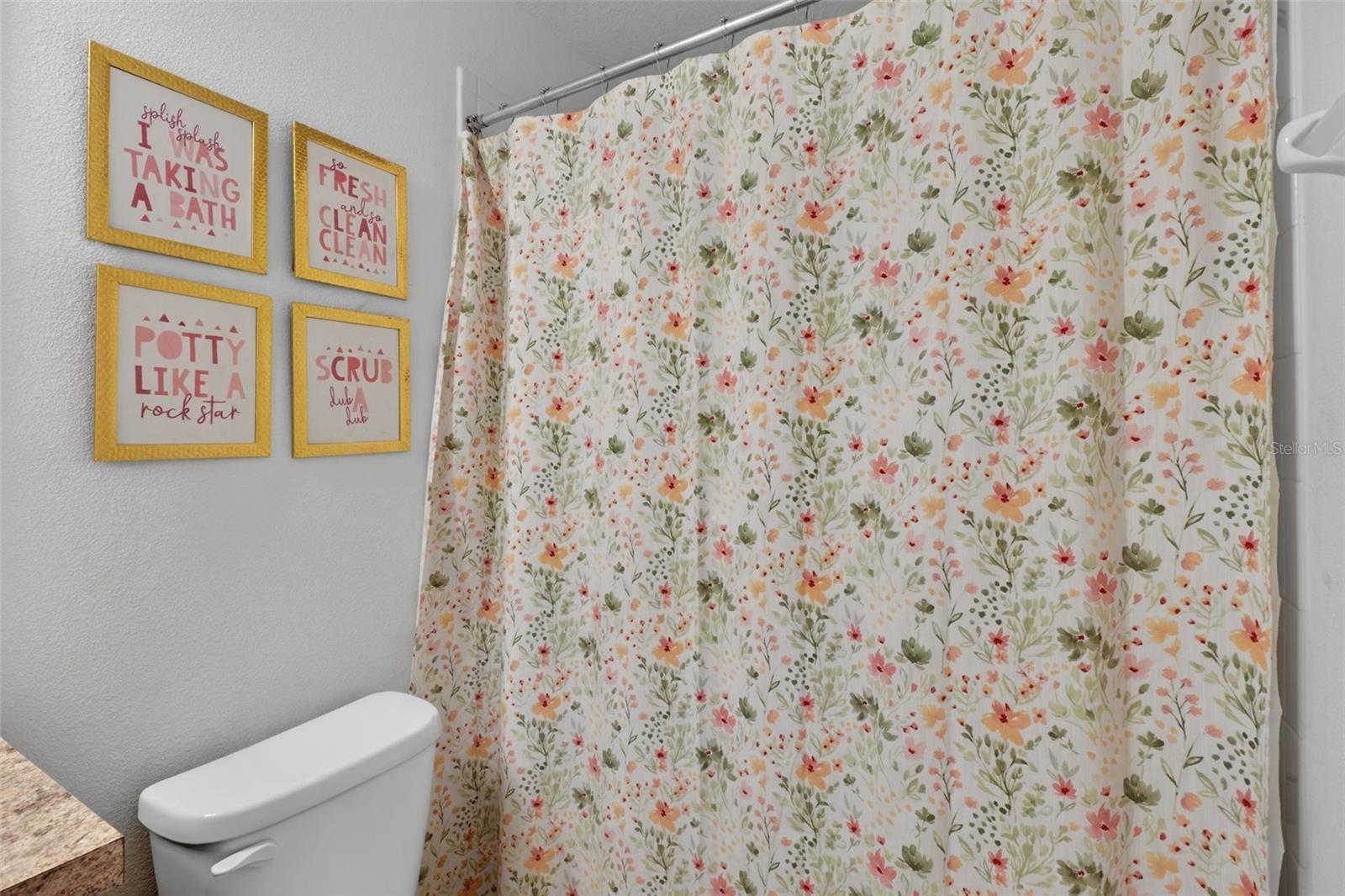 2817 ALPINE MEADOW Ln KISSIMMEE, FL 34744