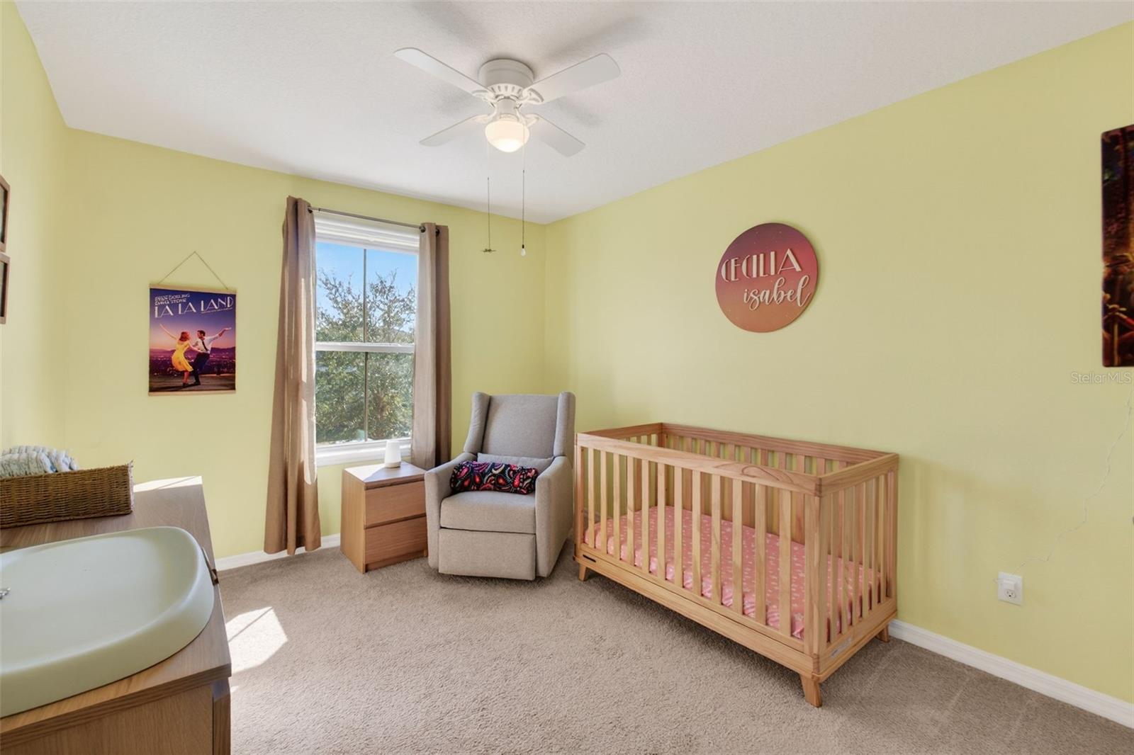 2817 ALPINE MEADOW Ln KISSIMMEE, FL 34744