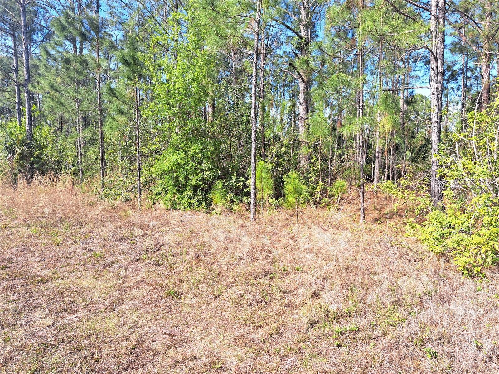 919 EL DORADO Dr INDIAN LAKE ESTATES, FL 33855