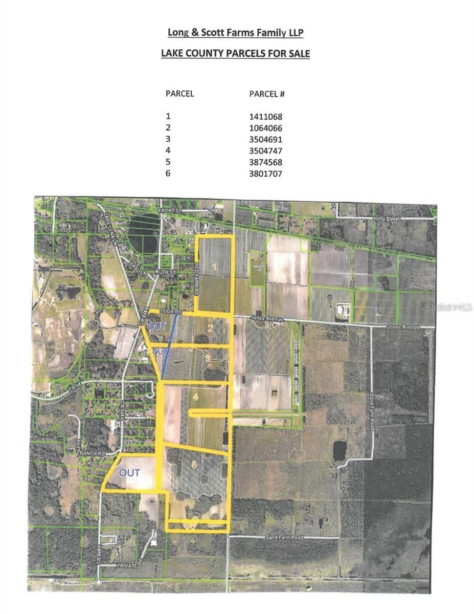  MOUNT DORA, FL 32757