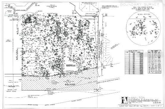 ARMAND Dr TAMPA, FL 33634