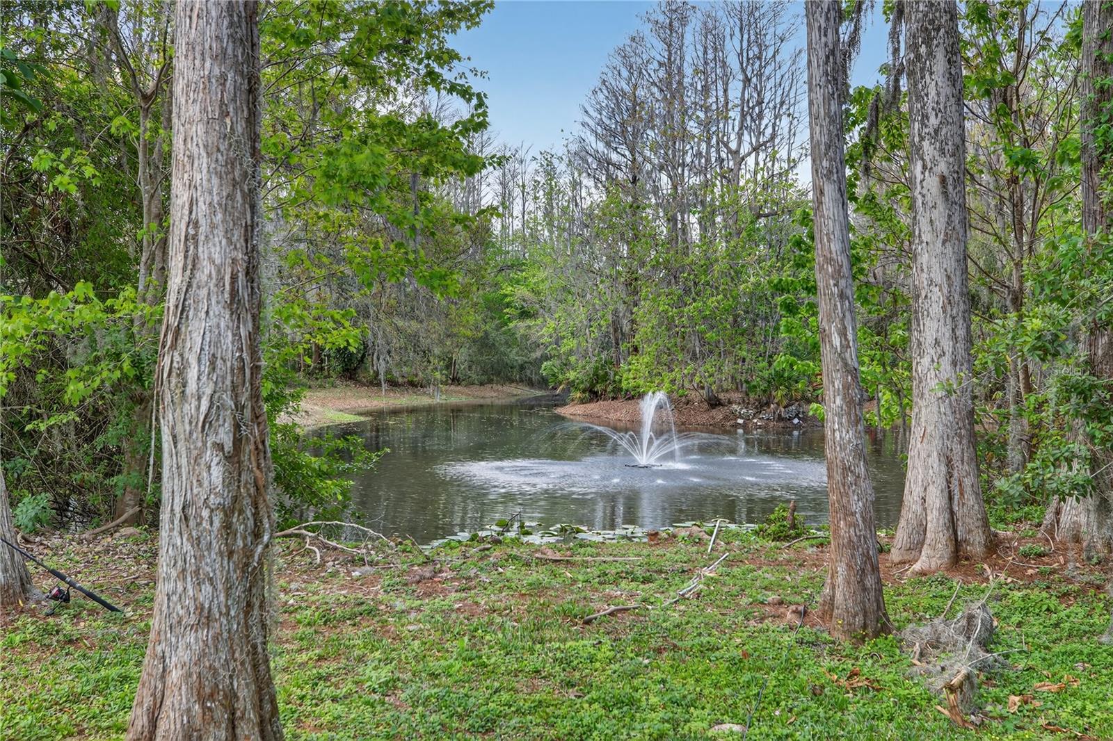 3663 BERGER Rd LUTZ, FL 33548