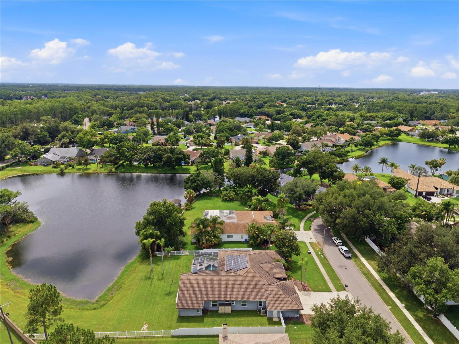 17024 WINNERS Cir ODESSA, FL 33556