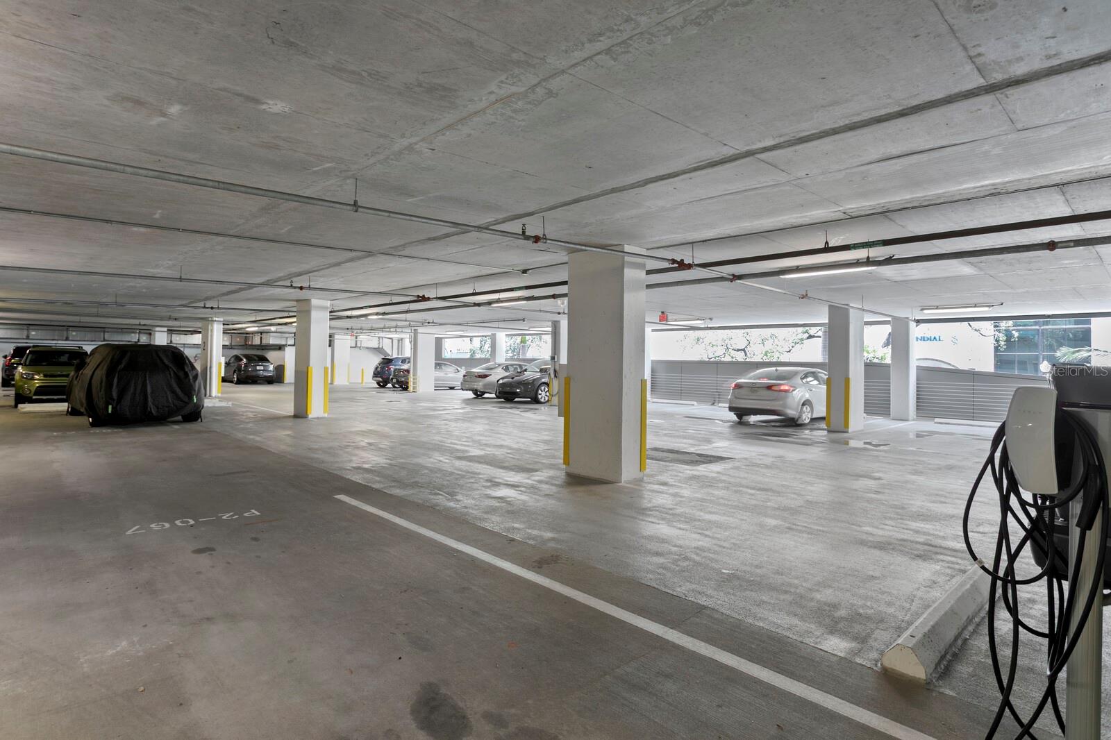 100 1ST Ave #3905 ST PETERSBURG, FL 33701