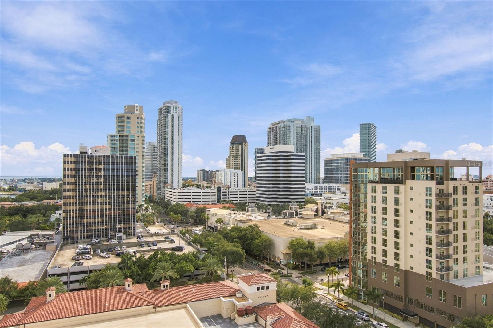 126 4TH Ave #1202 ST PETERSBURG, FL 33701