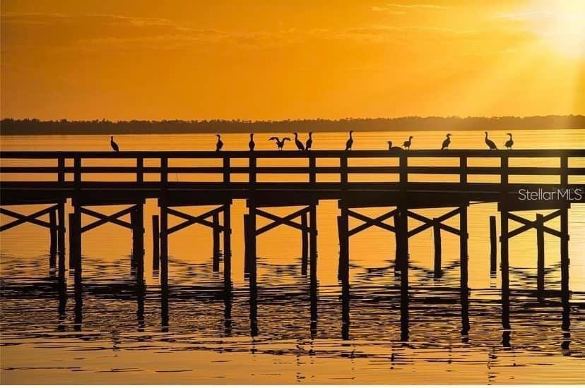 3250 PLUMOSA Dr INDIAN LAKE ESTATES, FL 33855