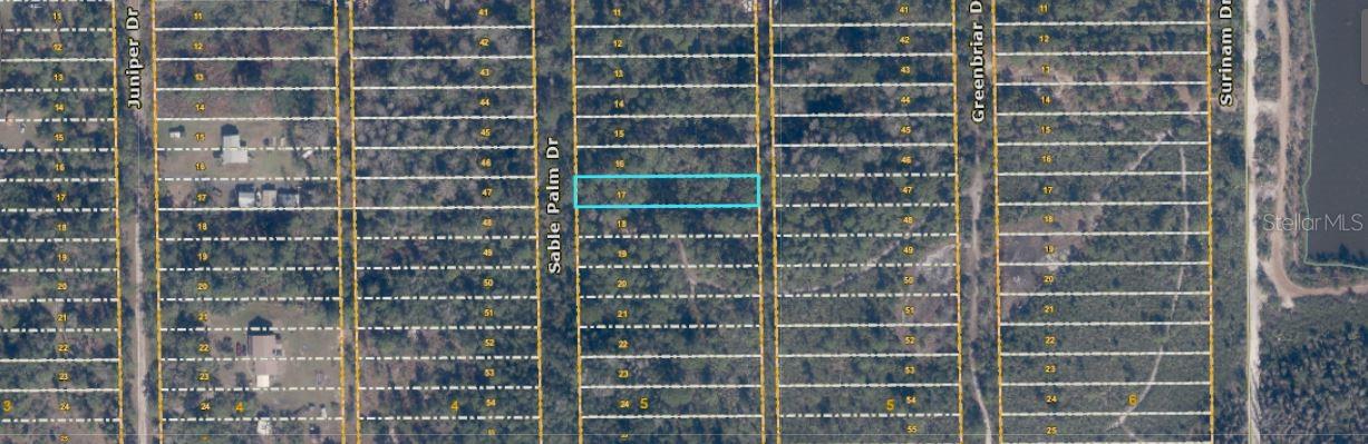 1039 SABLE PALM Dr CHRISTMAS, FL 32709