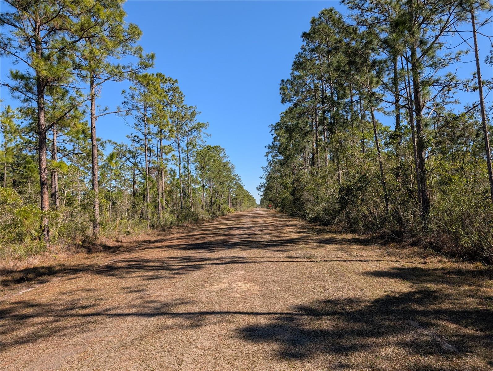 206 IXORA Dr INDIAN LAKE ESTATES, FL 33855