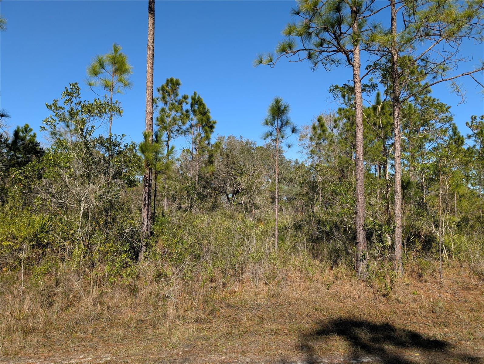 206 IXORA Dr INDIAN LAKE ESTATES, FL 33855