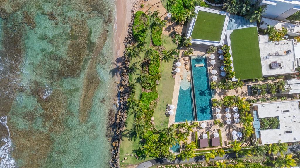 200 Dorado Beach Drive WEST Bch RESIDENCES #3141-3142 DORADO, PR 00646