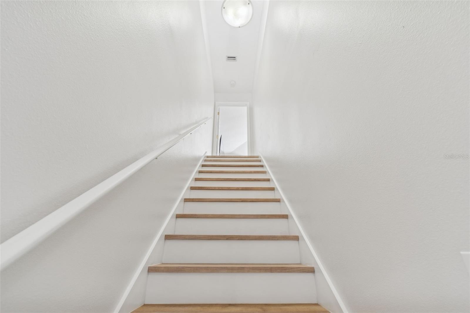 8210 NATURE Cv Way TAMPA, FL 33647