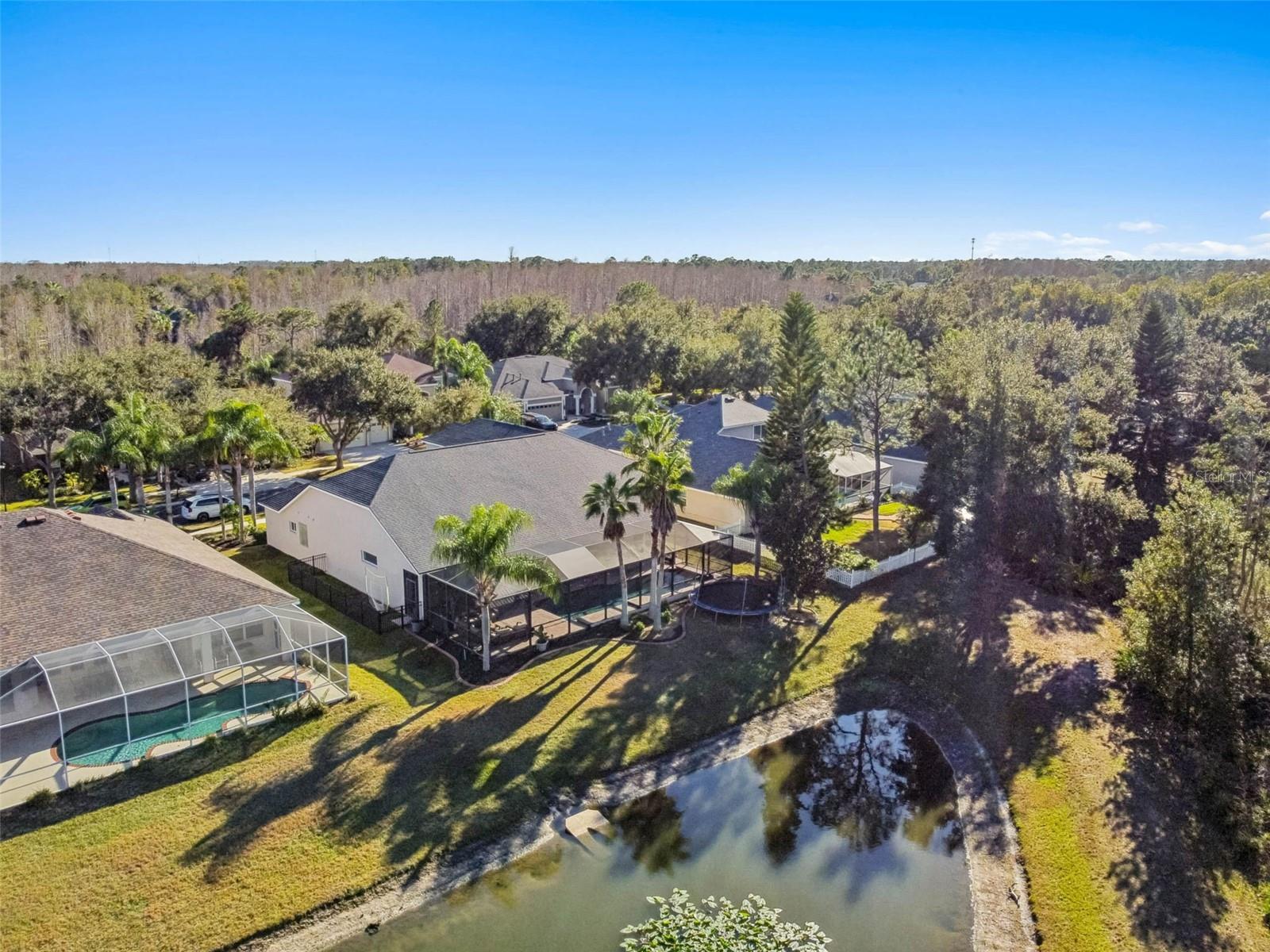 8210 NATURE Cv Way TAMPA, FL 33647