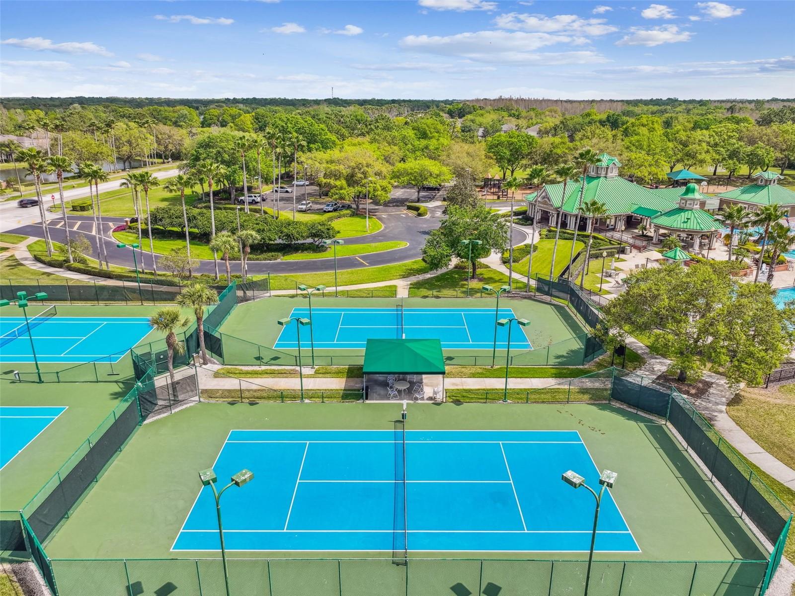 8210 NATURE Cv Way TAMPA, FL 33647