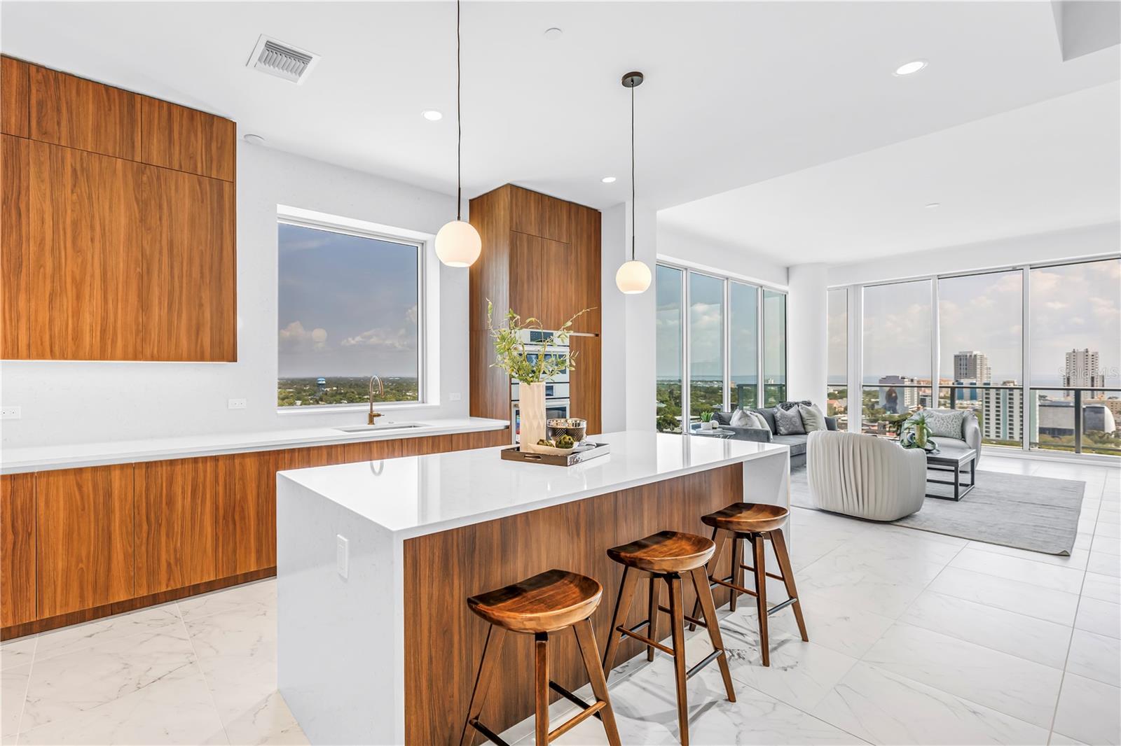 777 3RD Ave #1703 ST PETERSBURG, FL 33701